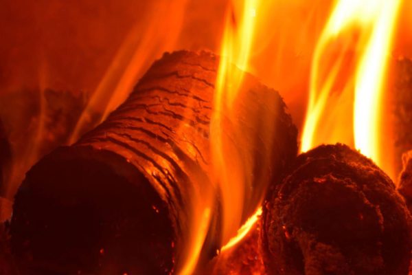 Woodlets Heat Logs 5 pack